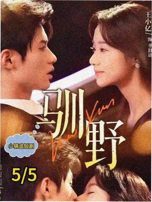 静默根系更新封面